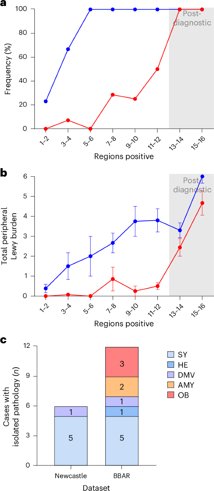 Fig. 4: Peripheral organ pathology in brain- and body-first groups.