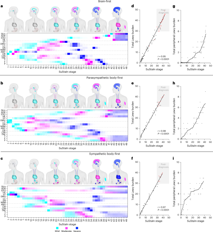 Fig. 5: Three subtypes of LBD.