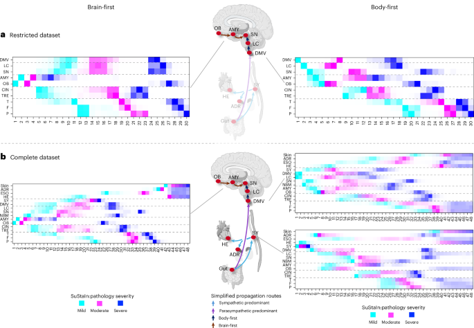 Fig. 6: SuStaIn analysis restricted to CNS regions.