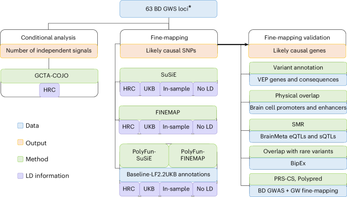 Fig. 1: Schematic workflow of the fine-mapping pipeline developed for PGC3 BD GWAS risk loci.