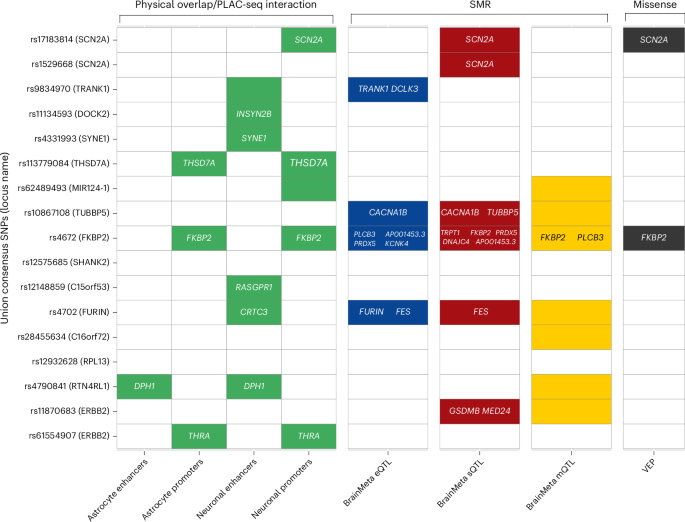 Fig. 4: Summary of analyses performed to link each fine-mapped SNP to the relevant gene(s).
