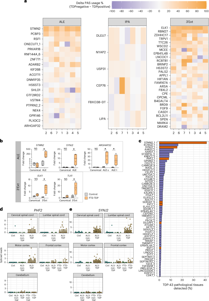 Fig. 2: Cryptic APAs are detected in postmortem ALS/FTD RNA-seq datasets.