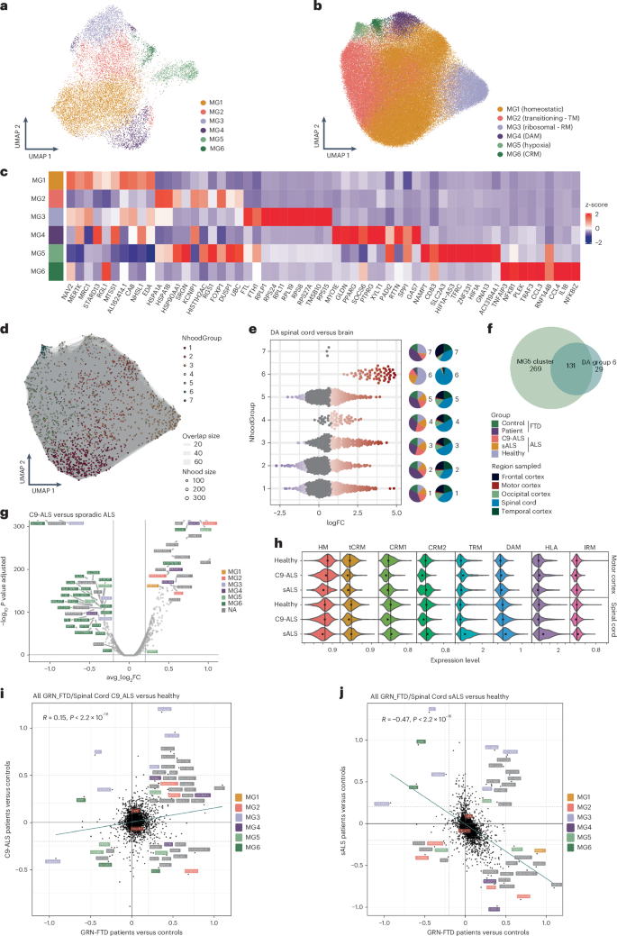 Fig. 2: C9orf72 HRE changes the microglial transcriptomic profile compared to sALS.