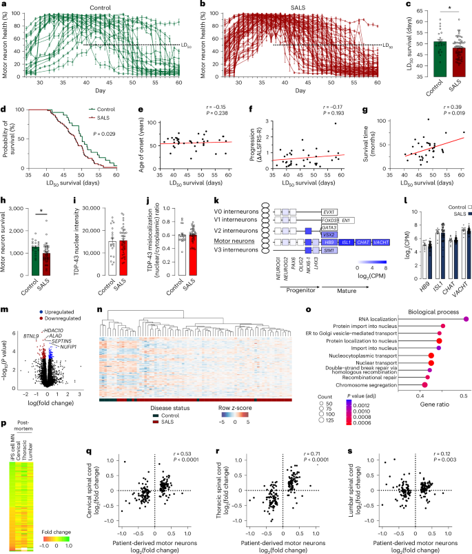 Fig. 2: Longitudinal live-cell phenotyping of motor neurons.