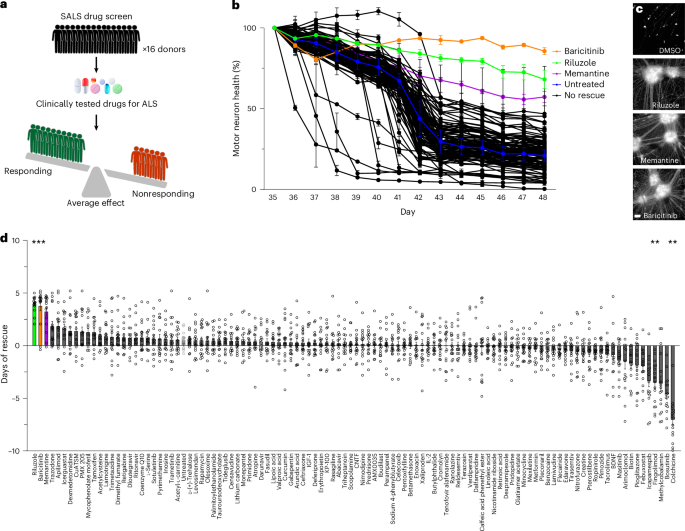 Fig. 4: Reassessment of clinically tested drugs for ALS in motor neurons from SALS donors.
