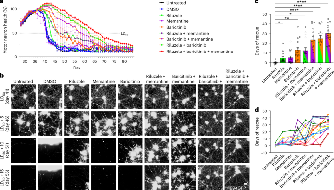 Fig. 5: Preclinical testing of baricitinib, memantine and riluzole in motor neurons from SALS donors.