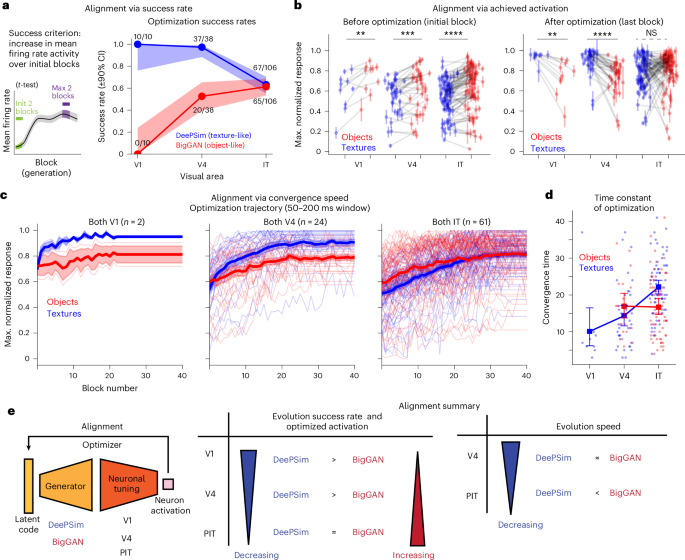 Fig. 4: Differential alignment with DeePSim and BigGAN across the ventral hierarchy.