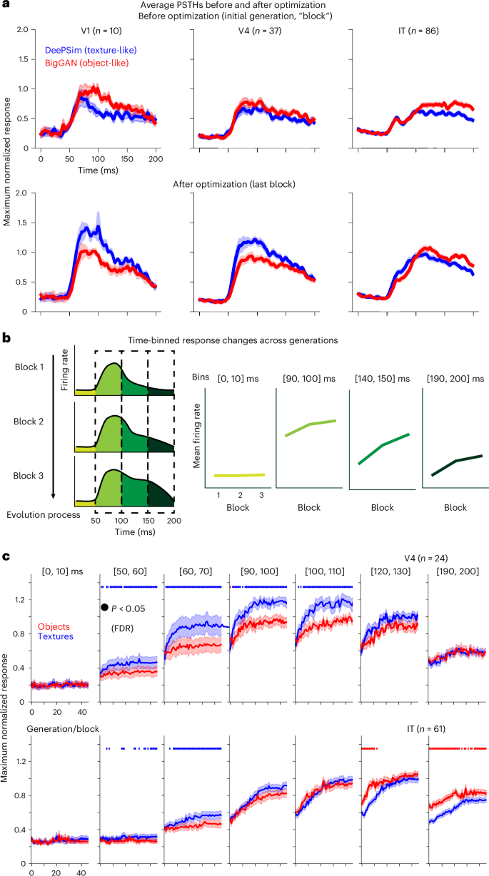 Fig. 5: Object space preferentially activated late responses in PIT neurons.