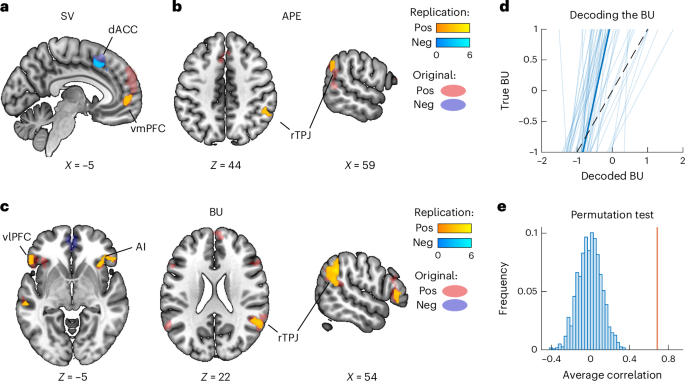 Fig. 5: Replication of the neural results in an independent, demographically more diverse sample.