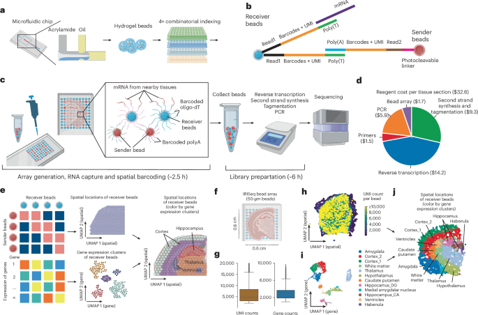 Fig. 1: Overview and validation of the IRISeq platform.