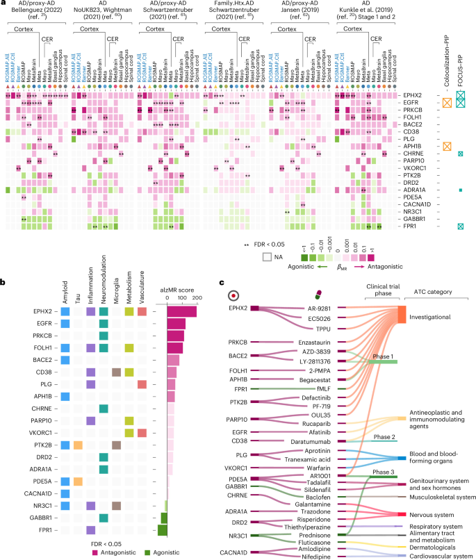 Fig. 3: Support of human genetic evidence for AD drug target in EA population.