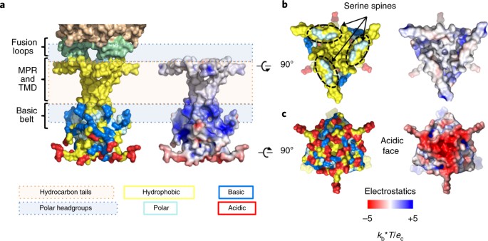 cm extreme fusion x1