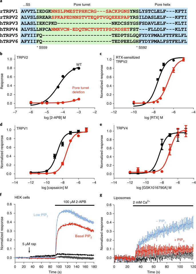 Enigmatic Chemical Tag Is Altered In >> Structures Of Trpv2 In Distinct Conformations Provide Enigmatic Chemical Tag Is Altered In >> Structures Of Trpv2 In Distinct Conformations Provide