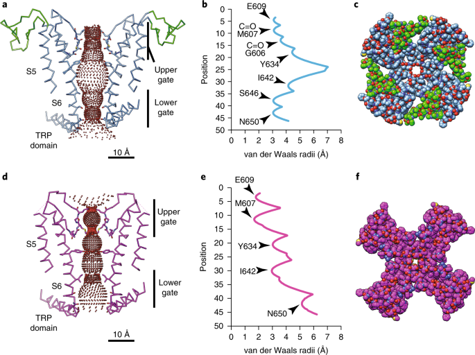 Structures Of Trpv2 In Distinct Conformations Provide Insight Into Role Of The Pore Turret Nature Structural Molecular Biology