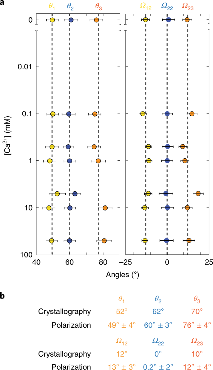 Energetics Of Angstrom Scale Conformational Changes In An Rck Domain Of The Mthk K Channel Nature Structural Molecular Biology