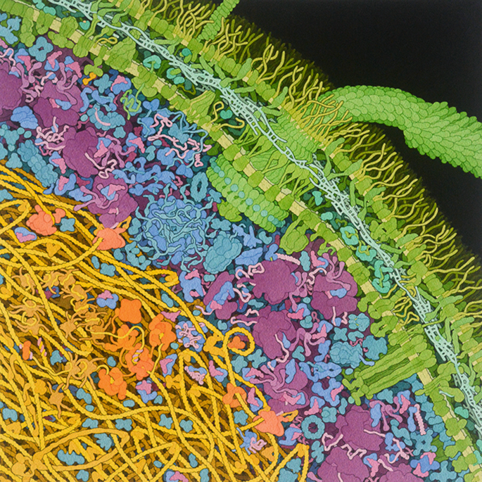 modern technology and scientific tools in biology research paper figure 1