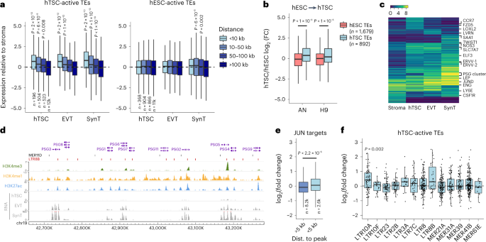 Fig. 3: Expression of genes close to regulatory ERVs.