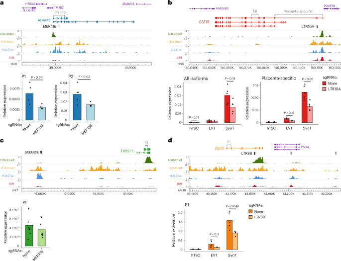 Fig. 5: Genetic excision of hTSC-active ERVs.