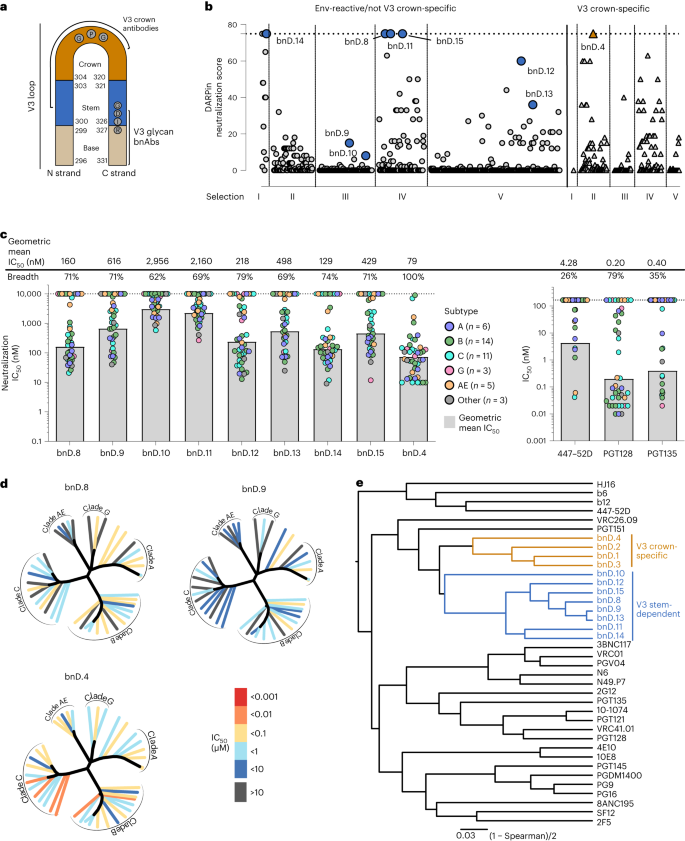 Fig. 1: Identification of broadly neutralizing V3 inhibitors.