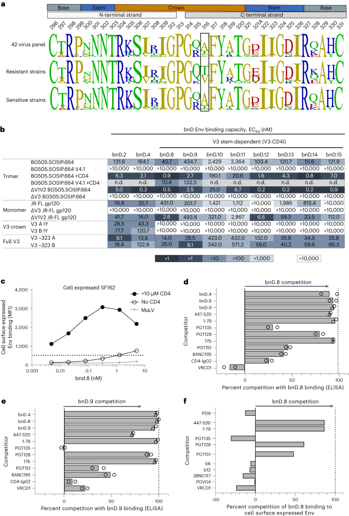 Fig. 2: V3-CD4i bnDs target V3 C-terminal half on open Env.