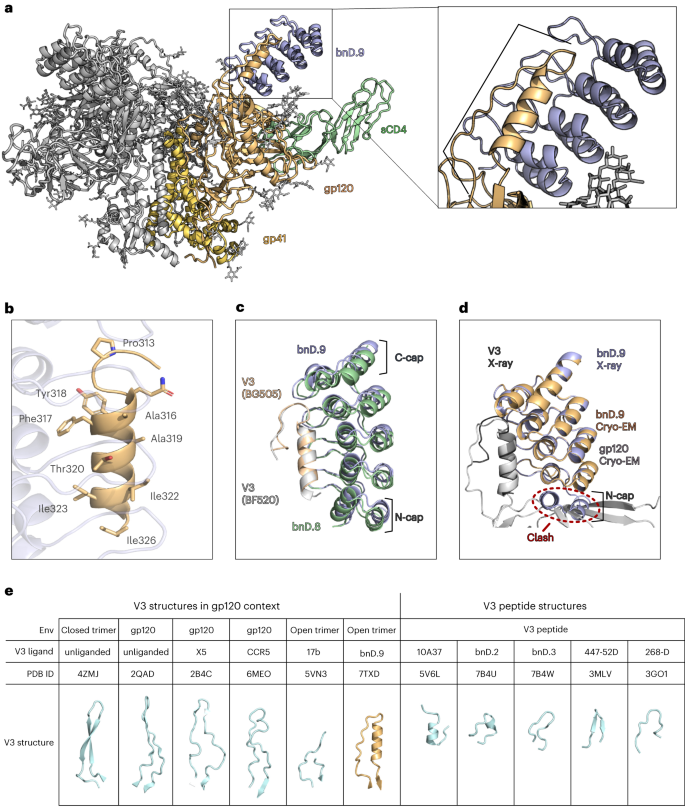 Fig. 4: Structure definition of V3-CD4i bnD V3 binding.
