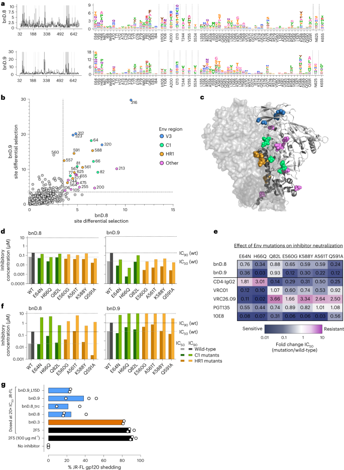 Fig. 6: Secondary site mutations influence Env stability and pliability.