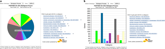 Gene Ontology Pie Chart