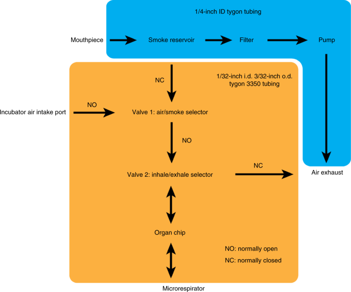 Biomimetic smoking robot for in vitro inhalation exposure compatible with  microfluidic organ chips | Nature Protocols