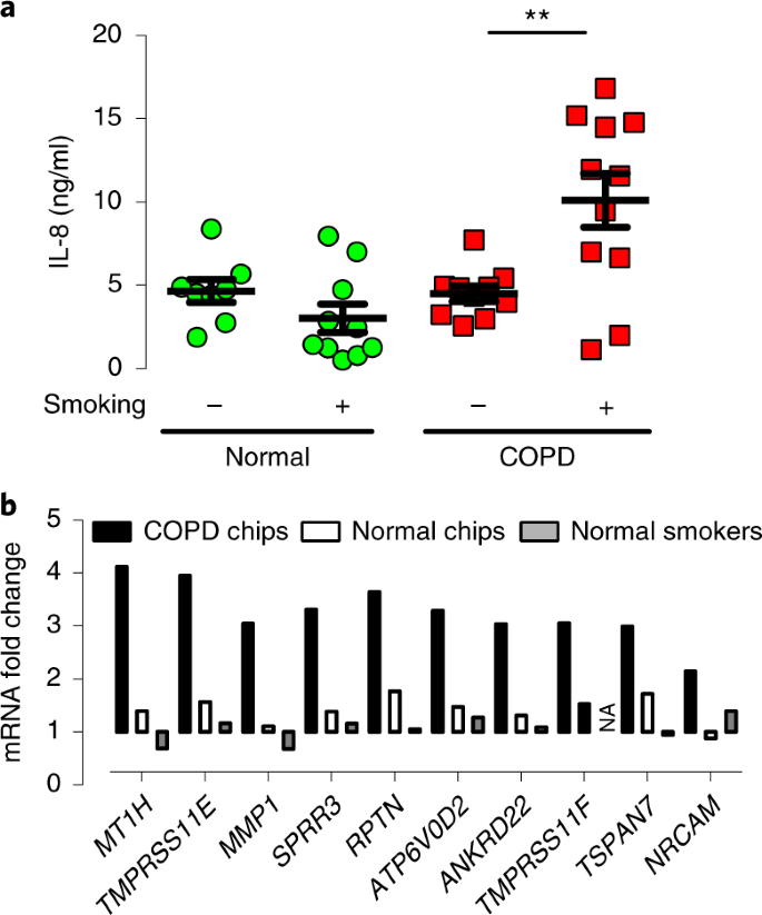 Biomimetic Smoking Robot For In Vitro Inhalation Exposure Compatible With Microfluidic Organ Chips Nature Protocols