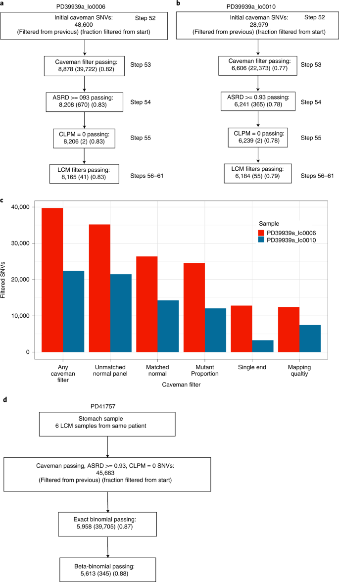 Reliable Detection Of Somatic Mutations In Solid Tissues By Laser Capture Microdissection And Low Input Dna Sequencing Nature Protocols