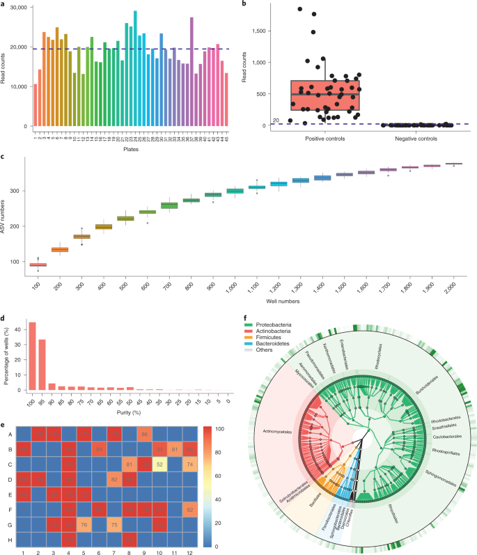 High Throughput Cultivation And Identification Of Bacteria From The Plant Root Microbiota Nature Protocols High Throughput Cultivation And Identification Of Bacteria From The Plant Root Microbiota Nature Protocols