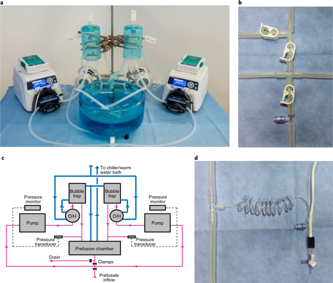 High Purity Water Inc Reviews Sutton Ma Angie S List
