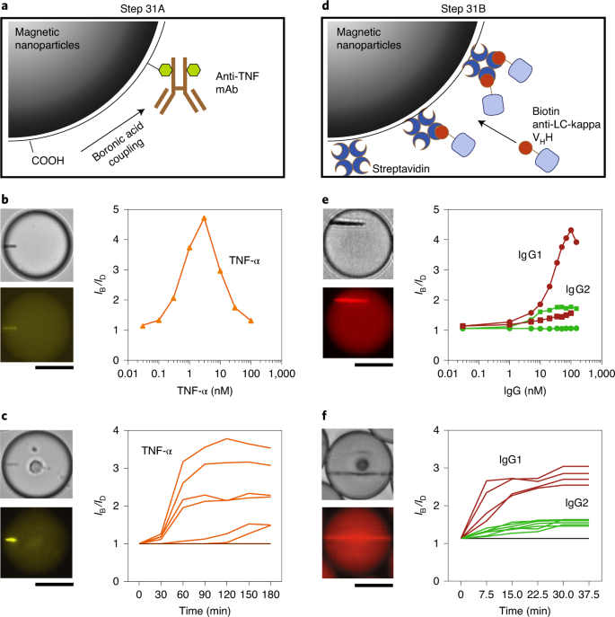 Dynamic single-cell phenotyping of immune cells using the microfluidic  platform DropMap | Nature Protocols