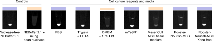 Creating Crispr Responsive Smart Materials For Diagnostics And Programmable Cargo Release Nature Protocols