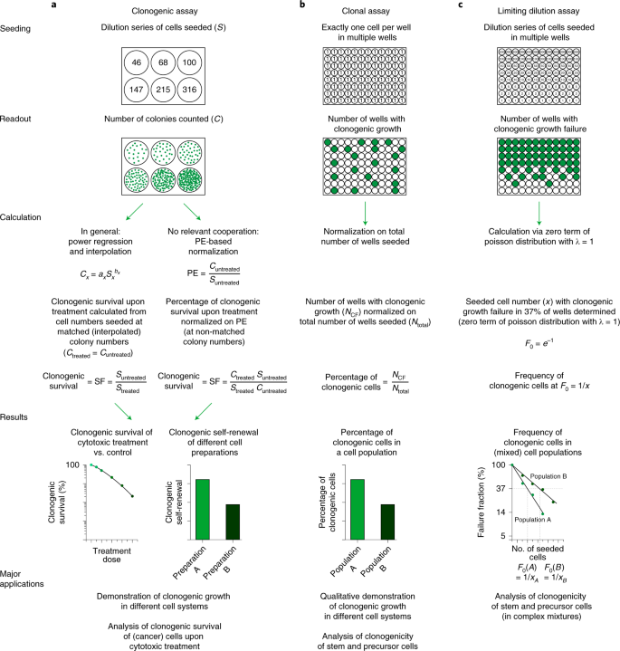 Analysis of clonogenic growth in vitro | Nature Protocols