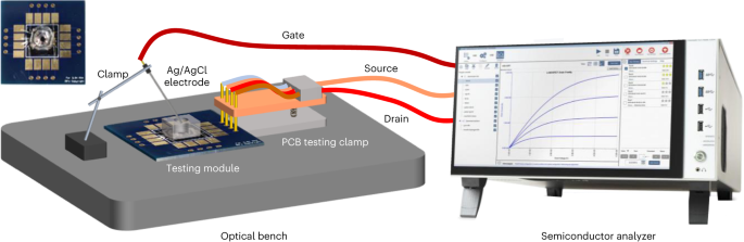 figure 12