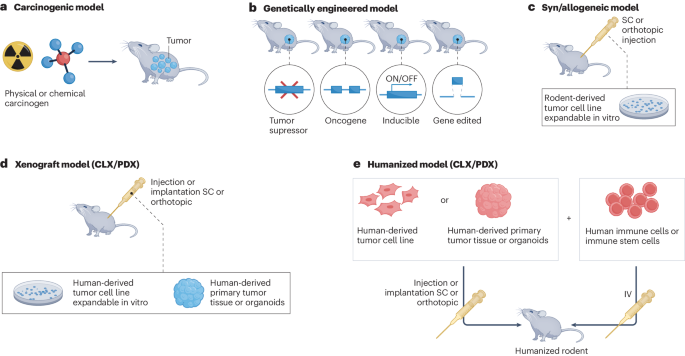 Fig. 1: Schematic overview of types of rodent tumor model.