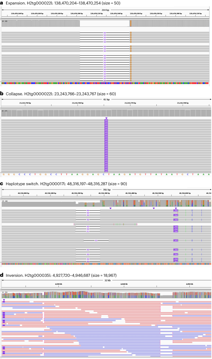 A detailed guide to assessing genome assembly based on long-read ...