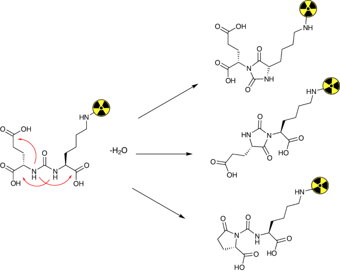 Byproducts in the synthesis of [68Ga]Ga-PSMA-11 | Nature Protocols