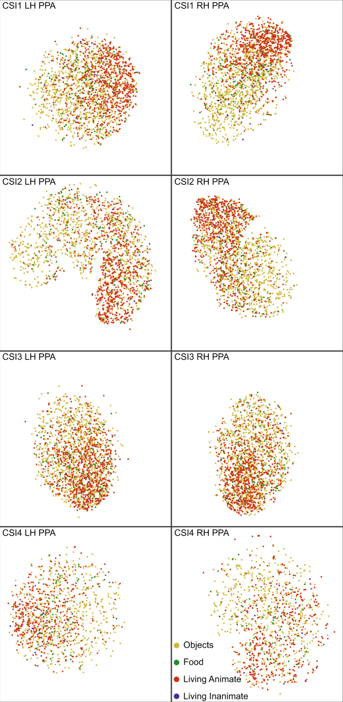 BOLD5000, a public fMRI dataset while viewing 5000 visual images |  Scientific Data
