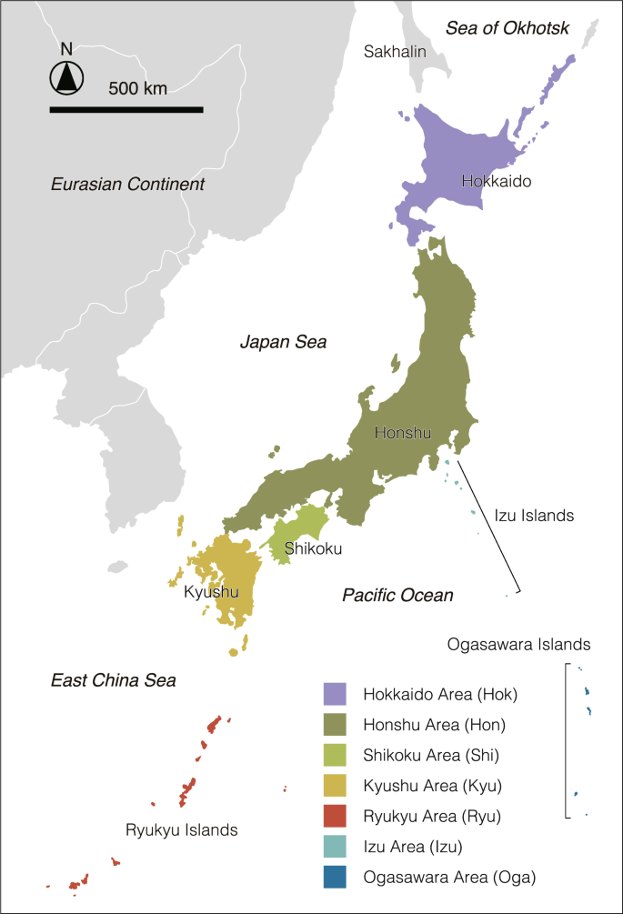 A complete dietary review of Japanese birds with special focus on molluscs  | Scientific Data