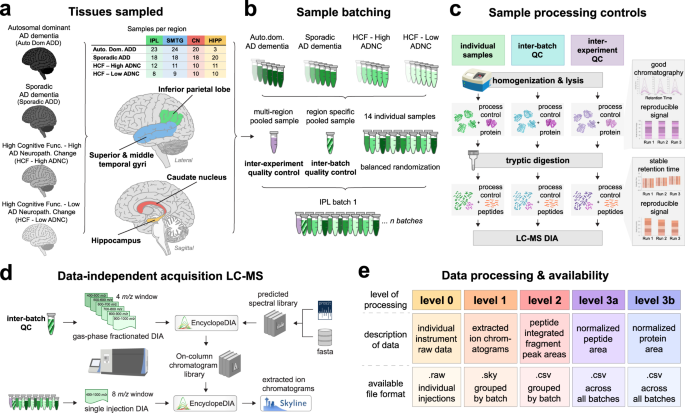 quantitative research on alzheimer's disease figure 1