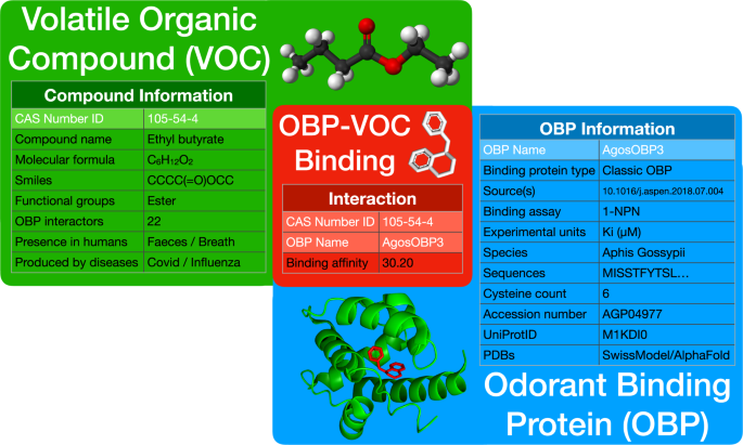 iOBPdb A Database for Experimentally Determined Functional 