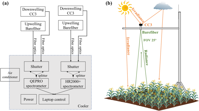科学者たち、キャノピーレベルの光合成の理解を深める(ACES scientists improve understanding of canopy-level photosynthesis)
