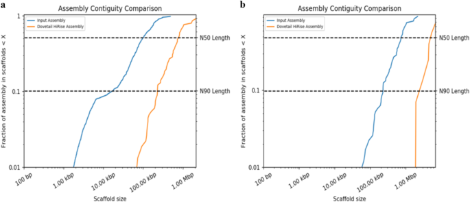 what is annotate genome figure 1