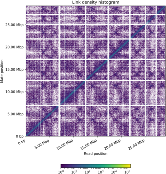 what is annotate genome figure 2