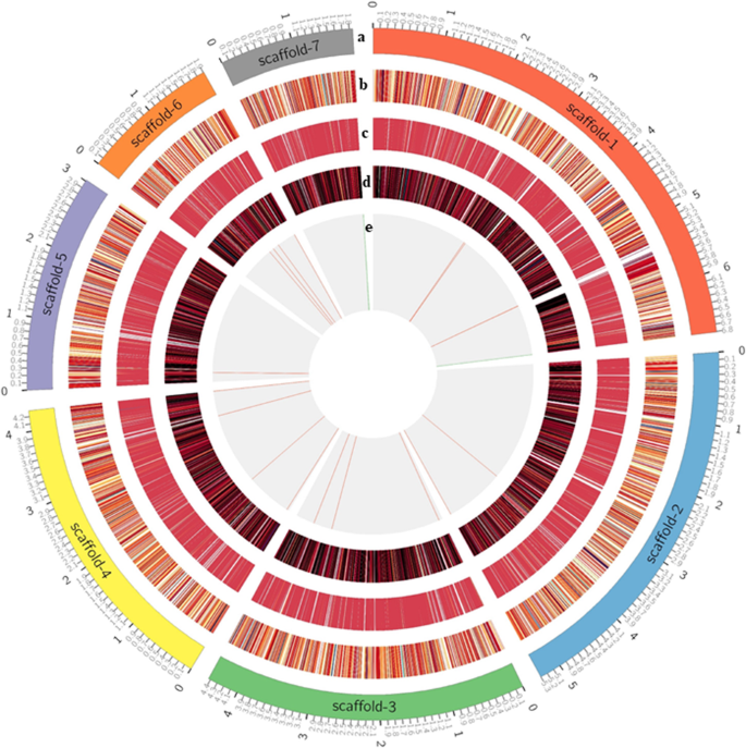what is annotate genome figure 3