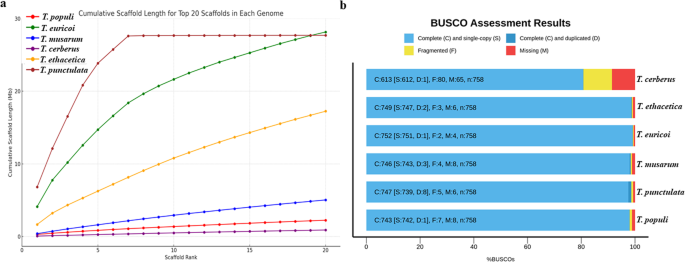 what is annotate genome figure 6