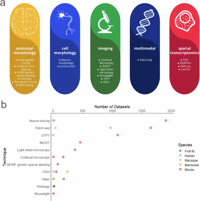 The Brain Image Library: A Community-Contributed Microscopy Resource ...