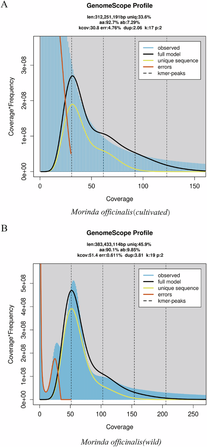 Chromosome-scale genomes of wild and cultivated Morinda officinalis